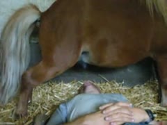 Dude with an bizarre void urine fetish lays underneath horse and lets the beast pee into his face hole